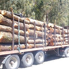 Cubicación madeira sobre camión