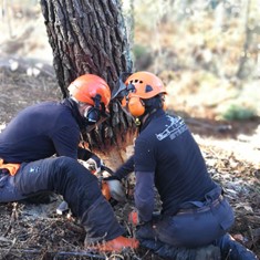 CURSO MOTOSIERRA LOUREIRO ARBORICULTURA VILAGARCIA