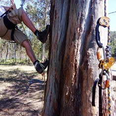 Curso Poda Altura 2 Loureiro Arboricultura