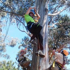 Curso Poda Altura Arboles Acceso SRT