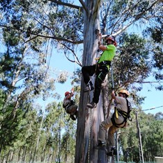 Curso Poda Altura Loureiro Arboricultura