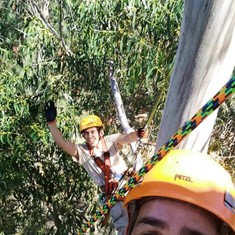 Curso Poda Altura Árboles