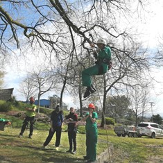 Curso poda en altura AG4