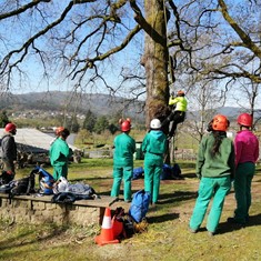 Curso poda en altura AG