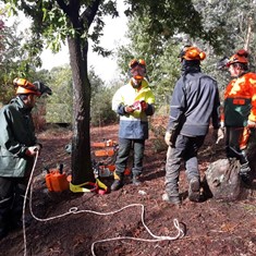 Curso tala dirixida