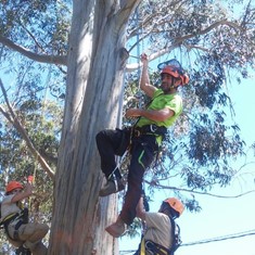 Curso Trabajos Altura Arboles Acceso SRT