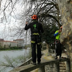 Curso traballos en altura en árbores CR13