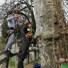 Curso traballos en altura en árbores CR14