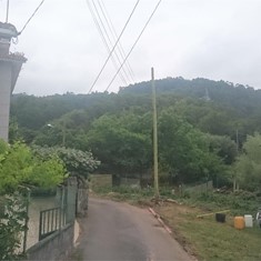 Despois, Tala en altura árbores  PONTEVEDRA LOUREIRO ARBORICULTURA