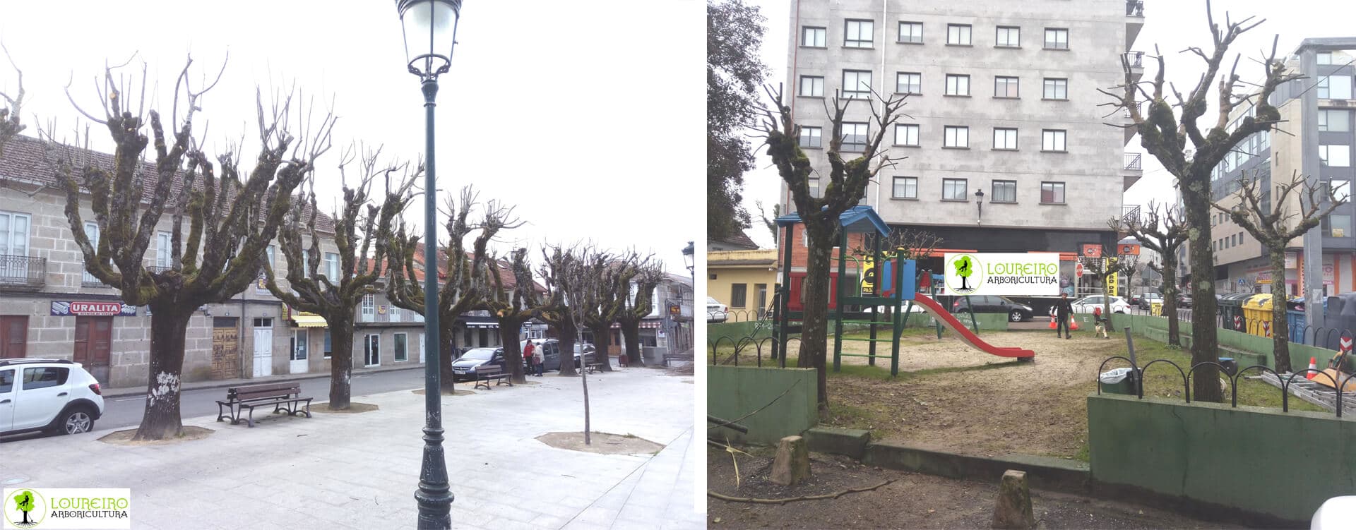 Poda de arbolado urbano