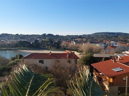 LOUREIRO ARBORICULTURA GALICIA loureiroarboricultura.com