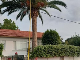 LOUREIRO ARBORICULTURA GALICIA loureiroarboricultura.com