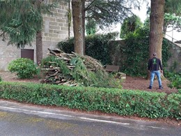 LOUREIRO ARBORICULTURA GALICIA
