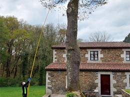 loureiroarboricultura.com