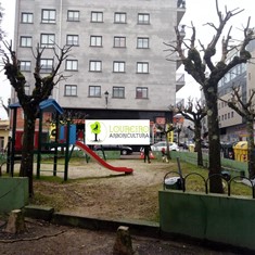 Poda arbolado urbano PONTEVEDRA LOUREIRO ARBORICULTURA