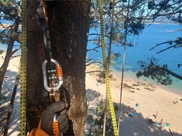 Poda de seguridad por riesgo alto de blanco LOUREIRO ARBORICULTURA GALICIA