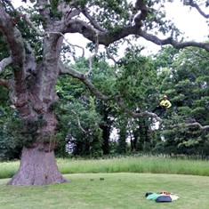 Poda seguridad saneamiento boda voda CORUÑA LOUREIRO ARBORICULTURA